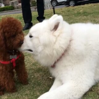 牙膏里加芥末？看“卜陛卜陛”如何用創(chuàng)意詮釋生活情趣